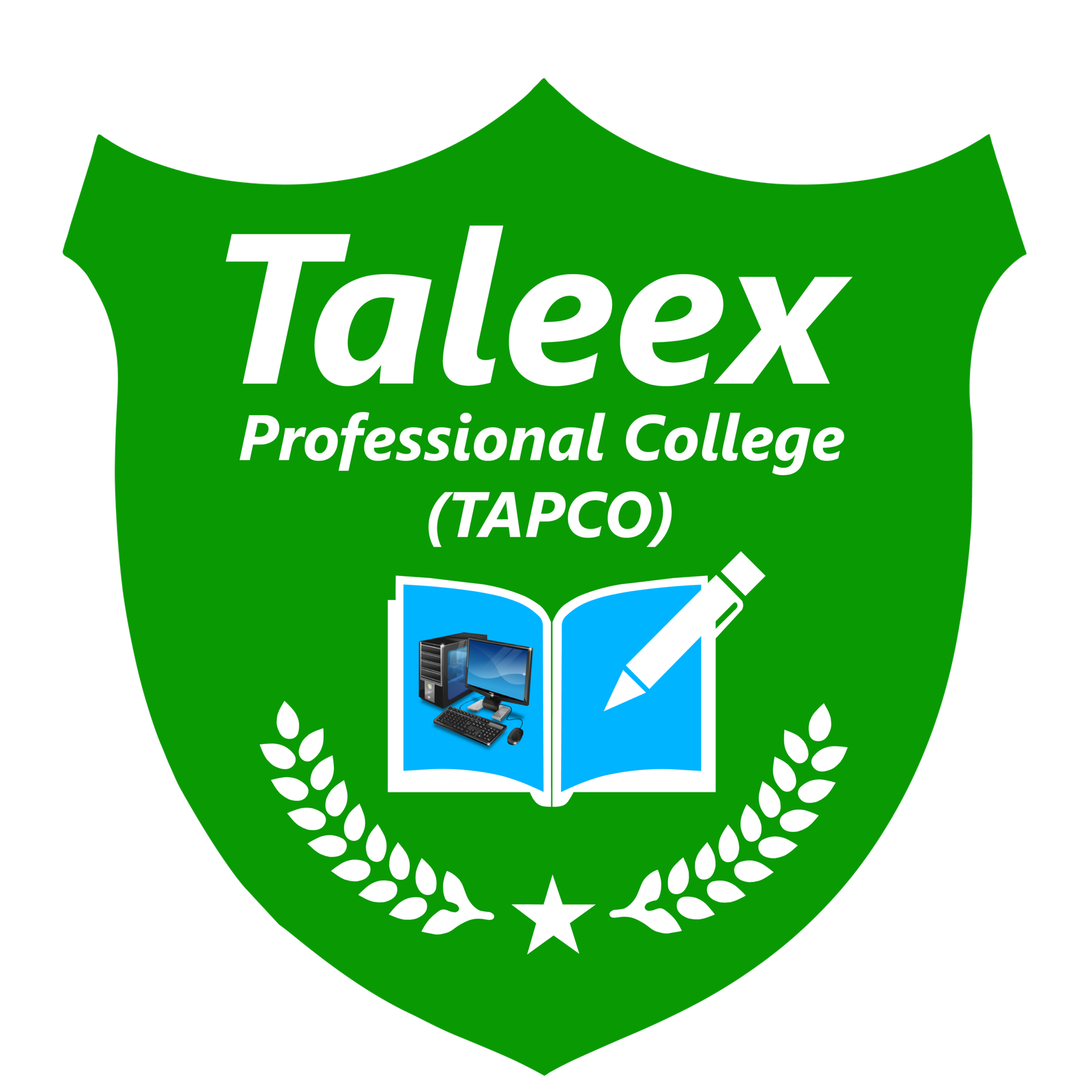 Taleex Professional College